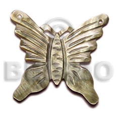 45mm carved blacklip butterfly -