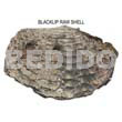 Ra Unpolished Blacklip Shells
