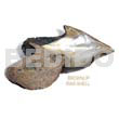 Ra Unpolished Brownlip Shells Asstd
