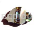 Inlaid Fish Troca Pawa Brooch