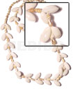 Bubble Shell Nassa White