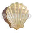 Mop Shell Design Brooch