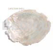 Ra Unpolished Capiz Shells