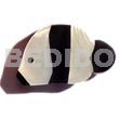 Inlaid Fish Black Tab And