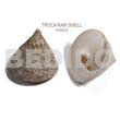 Ra Unpolished Troca Shells