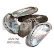 Ra Unpolished Abalone Shells