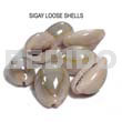 Loose Sigay Shells No