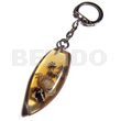 50mmx27mm Transparent Clear Amber