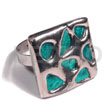 Glistening Turquoise Abalone