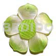 Graduated Lime 35mm Hammershell Flower