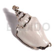 White Canarium Approx. 45mm