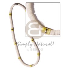 Yelowhite clam combination