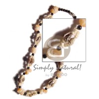 Nassa 2 rows and frog