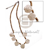 2-3mm coconut pokalet. tiger