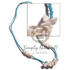 White shells in light blue