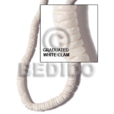 Graduated white clam