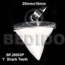 Encasted y shark teeth pendant