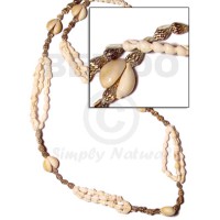 Sigay scallop-nassa white and tiger-