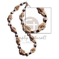 Nassa tiger white rose