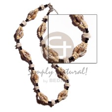 Nassa tiger white rose