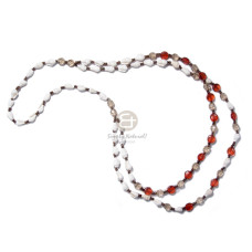 White nassa in graduated rows