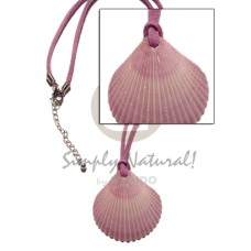 Clam pink palium pigtim shell