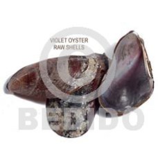 Ra unpolished violet oyster shells