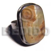 Big accent haute hippie 30mmx22mm