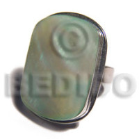 Big accent haute hippie 30mmx22mm