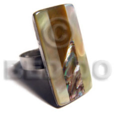 Big accent haute hippie rectangular32mmx18mm