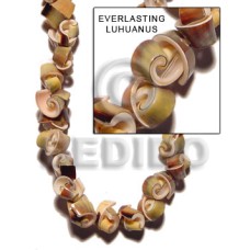 Green everlasting luhuanus