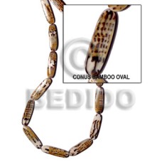 Conus bamboo oval back