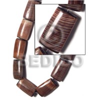 28mmx16mmx7mm conus pegulinus chiclet back