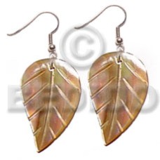 Dangling 35mmx30mm brownlip leaves