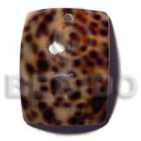 Rectangular cowrie shell 40mmx35mm