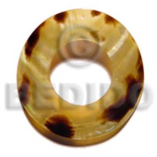 Brownlip tiger donut 40mm