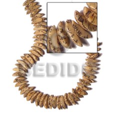 Buri seed tiger quarter moon