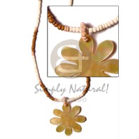 2-3 coconut pukalet bleach tan dyed brown