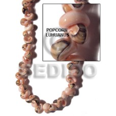 Luhuanus head popcorn