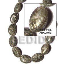 Philippine abalone