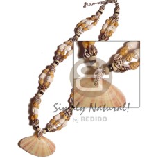 Tiger nassa pigtim clam